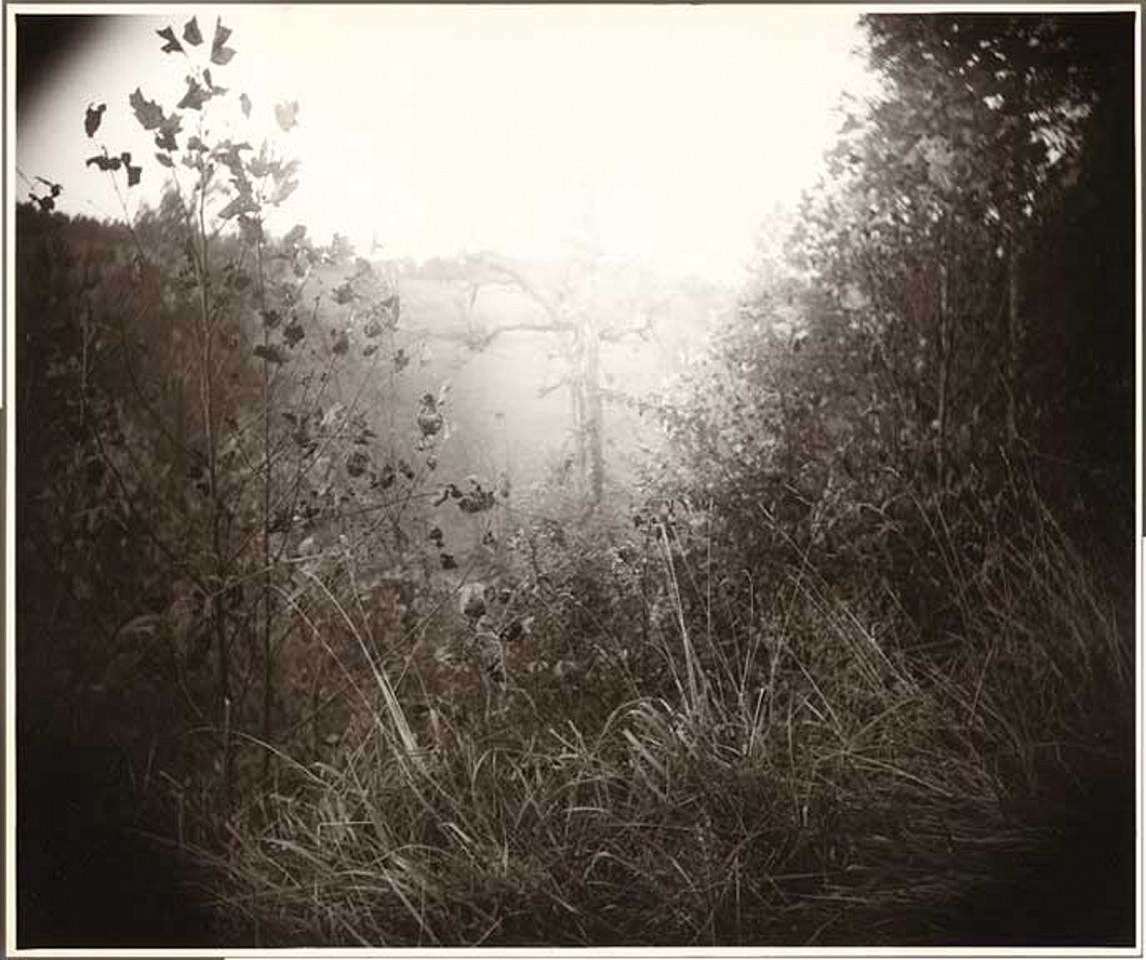 Sally Mann, America: Now + Here 2009 Photography Portfolio: Untitled
1995, Digital C-Print
